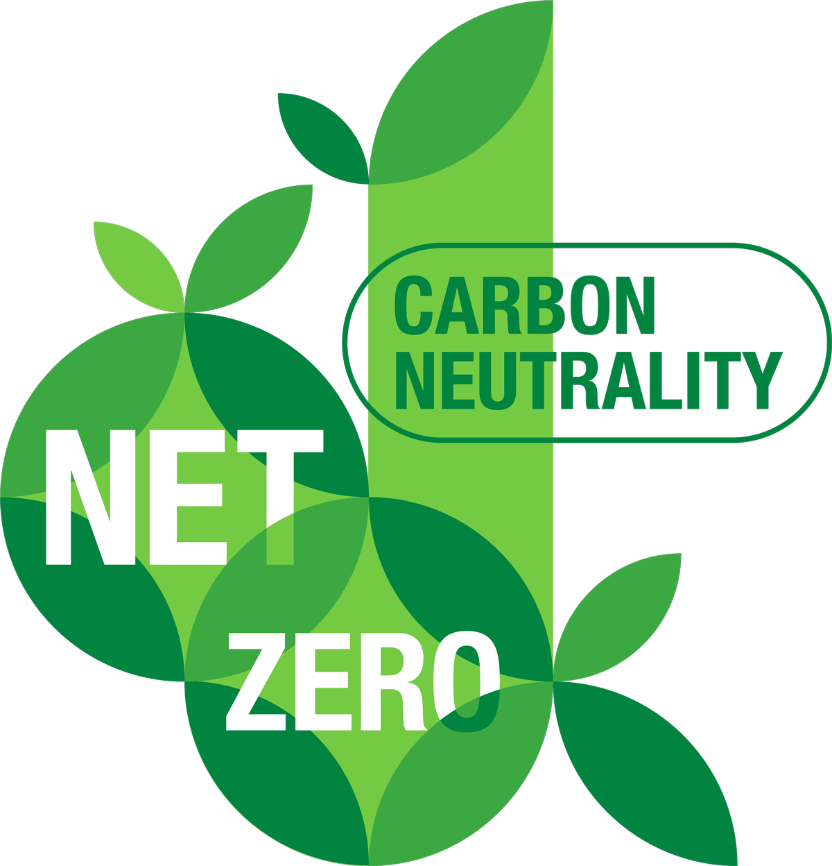 Net Zero Carbon Neutrality